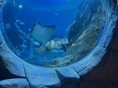 -香港海洋公园