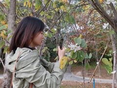 -南国桃园旅游度假区