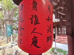 -上海醉白池公园