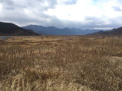 -泸沽湖国家级风景名胜区走婚桥