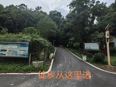 -素山寺森林公园