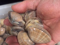 -宾朋海鲜特色美食餐厅·纯手工鲅鱼水饺(兴海路店)