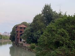 -成都市活水公园