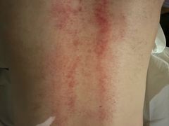 -鼎族怡华·指压·油压·经络(西单昌盛大厦店)
