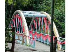 -黄山翡翠谷景区