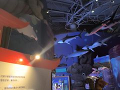 -烟台海昌鲸鲨海洋公园