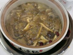 -土连锅·现熬养生汤锅(梁家巷店)