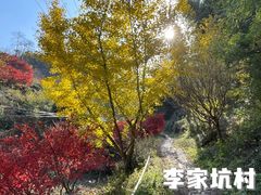 -四明山国家森林公园