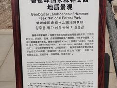 -磬锤峰森林公园