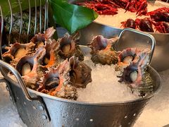 -Social 秀西餐厅-长沙瑞吉酒店(运达店)
