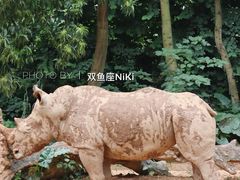 -广州长隆野生动物世界