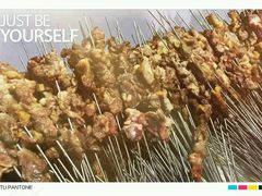 -湖南东洞庭湖国家级自然保护区