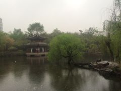 -水绘园