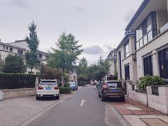 -大华梧桐墅大公馆