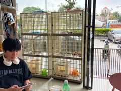 -乐琪宠物医院·犬猫专科·骨外科·急重症