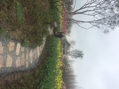 田园东方-田园东方蜜桃村的田野营地