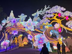-淄博花灯齐彩城