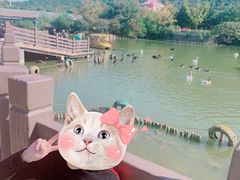 -无锡动物园·太湖欢乐园