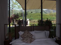 -帐篷客·溪龙茶谷度假酒店