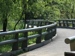 -西湖风景区-江洋畈生态公园