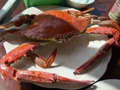 -小铜锣湾海鲜家常菜馆(河西店)
