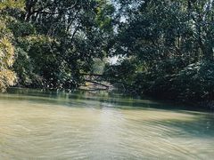 -上海滨江森林公园
