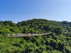 -亚龙湾热带天堂森林公园