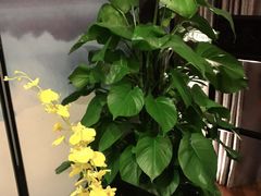 -楚禾宴·家宴(光谷大道店)