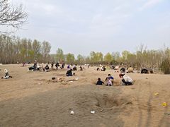 -东郊湿地公园