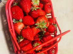 -黄商生活超市(黄冈黄州万达店)