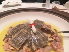 -洞庭家宴·头牌甲鱼(广渠门店)