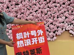 -枫叶小镇奥特莱斯