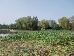 -太阳宫公园