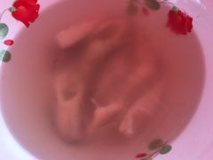 -小鱼草莓采摘园农家乐·小鱼餐厅