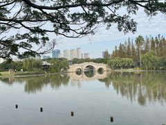 -江心屿景区