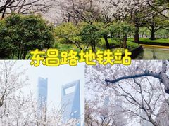 -顾村公园