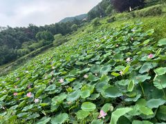 -萨尔浒风景区