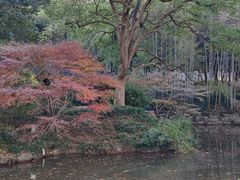-杭州植物园