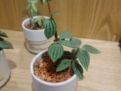 -MUJI无印良品(环球港店)