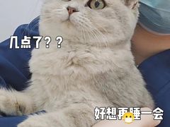 -海门爱心宠物医院