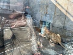 -西安秦岭野生动物园