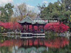 -棠湖公园