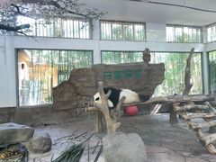 -宁波野生动物园