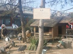 -有喜胶东小馆(超极合生汇太申祥和店)