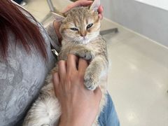 -共舞时光猫咖·狗咖(新街口店)