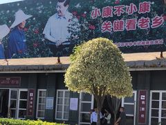 -亚龙湾国际玫瑰谷