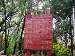 -四门塔风景区
