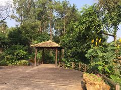 -金山植物公园