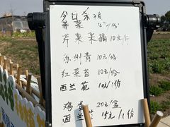 -菊园百果园