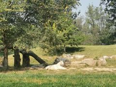 -北京野生动物园